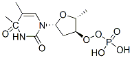 O(4)-methylthymidine monophosphate 结构式