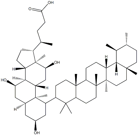 Ursulcholic Struktur