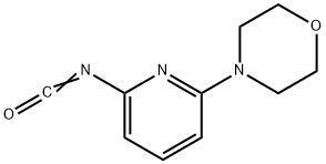 4-(6-异氰吡啶-2-基)吗啉, 884507-15-7, 结构式
