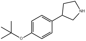 3-(4-TERT-BUTOXY-PHENYL)-PYRROLIDINE|3-(4-叔丁氧苯基)吡咯烷