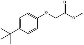 methyl 2-(4-tert-butylphenoxy)acetate