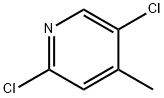 2,5-DICHLORO-4-METHYLPYRIDINE Struktur