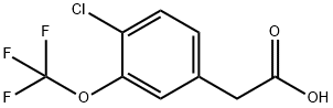 4-氯-3-三氟甲氧基苯基乙酸, 886501-02-6, 结构式