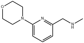 N-METHYL-N-[(6-MORPHOLIN-4-YLPYRIDIN-2-YL)METHYL]AMINE 化学構造式