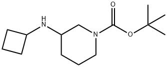 1-BOC-3-CYCLOBUTYLAMINO-PIPERIDINE Structure