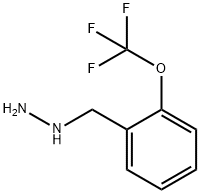 2-TRIFLUOROMETHOXY-BENZYL-HYDRAZINE Structure