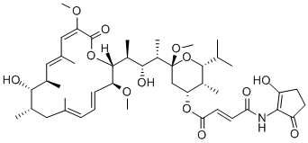 バフィロマイシンB2 化学構造式