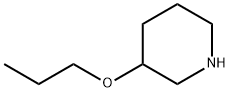 3-プロポキシピペリジン 化学構造式