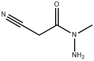 N1-METHYL-2-CYANOETHANOHYDRAZIDE Struktur