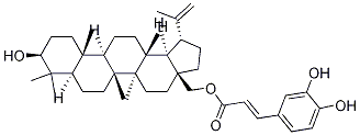 ベツリン3β-カフェアート