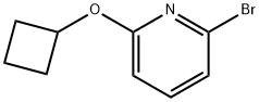 6-(CYCLOBUTOXY)-2-BROMOPYRIDINE Struktur