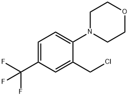 4-[2-(クロロメチル)-4-(トリフルオロメチル)フェニル]モルホリン 化学構造式