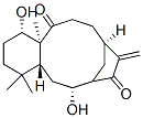 [1S,4aR,6R,10R,13aS,(-)]-1,2,3,4,4a,5,6,9,10,11,12,13a-Dodecahydro-1,6-dihydroxy-4,4,13a-trimethyl-9-methylene-10,7-metheno-7H-benzocycloundecene-8,13-dione Struktur