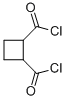 CYCLOBUTANE-1,2-DICARBONYL DICHLORIDE Structure