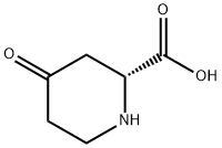 (R)-4-oxopiperidine-2-carboxylic acid Structure