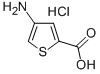 2-Thiophenecarboxylic acid, 4-amino-, hydrochloride Structure