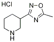 5-Methyl-3-(piperidin-3-yl)-1,2,4-oxadiazole hydrochloride|3-(5-甲基-1,2,4-噁二唑-3-基)哌啶盐酸盐