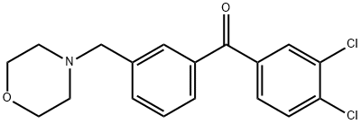 (3,4-二氯苯基)(3-(吗啉甲基)苯基)甲酮, 898792-24-0, 结构式