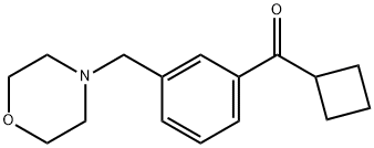 CYCLOBUTYL 3-(MORPHOLINOMETHYL)PHENYL KETONE