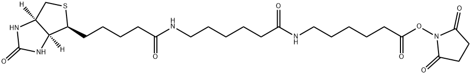 N-[6-(ビオチンアミド)ヘキサノイル]-6-アミノヘキサン酸 N-スクシンイミジル 化学構造式