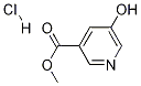 5-羟基烟酸甲酯盐酸盐,89937-78-0,结构式