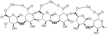 Calcium Alginate Struktur