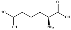 Norleucine,  6,6-dihydroxy- Structure