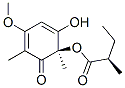 (R)-2-Methylbutyric acid (R)-1,3-dimethyl-2-oxo-4-methoxy-6-hydroxy-3,5-cyclohexadienyl ester Struktur