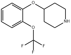 4-(2-TRIFLUOROMETHOXY-PHENOXY)-PIPERIDINE Struktur