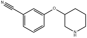 3-(哌啶-3-氧基)苯甲腈,902836-93-5,结构式