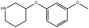 3-(3-甲氧基苯氧基)哌啶, 902837-25-6, 结构式