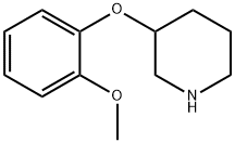 3-(2-甲氧基苯氧基)哌啶, 902837-27-8, 结构式