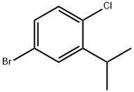 5-溴-2-氯异丙基苯 结构式