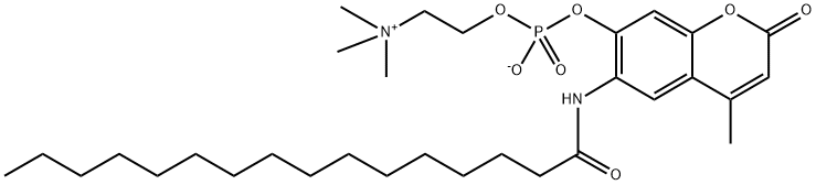 6-HexadecanoylaMino-4-MethyluMbelliferyl Phosphorylcholine Structure