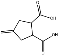 4-亚甲基环戊烷-1,2-二羧酸 结构式