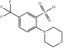 2-モルホリノ-5-(トリフルオロメチル)ベンゼンスルホニルクロリド 化学構造式