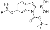 2-硼-6-三氟甲氧基-1H-吲哚-1-羧酸-1-(1,1-二甲基乙酯), 906644-32-4, 结构式