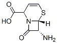 (6R,7R)-7-氨基-8-氧代-5-硫杂-1-氮杂双环[4.2.0]辛-3-烯-2-羧酸 结构式