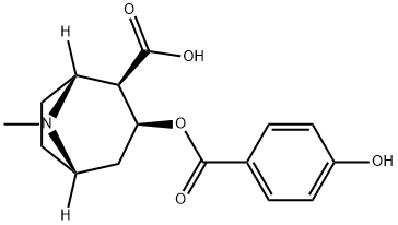 P-HYDROXYBENZOYLECGONINE|对羟基苯甲酰芽子碱