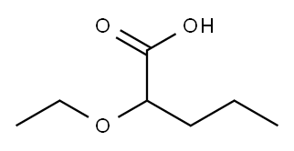 2-ETHOXYPENTANOICACID|2-乙氧基戊酸