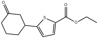 ETHYL 5-(3-OXOCYCLOHEXYL)-2-THIOPHENECARBOXYLATE Struktur