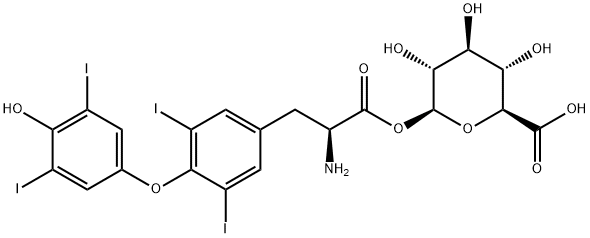 Levothyroxine Acyl Glucuronide Struktur