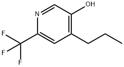 4-프로필-6-트리플루오로메틸-피리딘-3-올