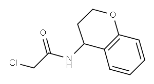 2-CHLORO-N-3,4-DIHYDRO-2H-CHROMEN-4-YLACETAMIDE Structure