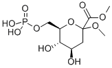 Methyl(methyl3-deoxy-D-arabino-hept-2-ulopyranosid)onate-7-phosphate Structure