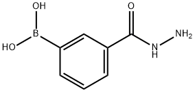 3-(HYDRAZINECARBONYL)BENZENEBORONIC ACID 97 Struktur