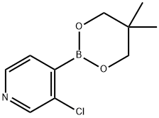 3-Chloropyridine-4-boronic acid, neopentyl glycol ester Structure