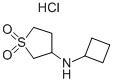 Cyclobutyl-(1,1-dioxo-tetrahydrothiophen-3-yl)-amine hydrochloride Structure