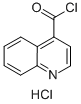 4-QUINOLINECARBONYL CHLORIDE,HYDROCHLORIDE(1:1) Struktur