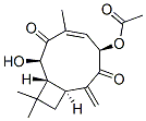(1R,2R,4E,6R,9S)-6-(アセチルオキシ)-2-ヒドロキシ-8-メチレン-4,11,11-トリメチルビシクロ[7.2.0]ウンデカ-4-エン-3,7-ジオン 化学構造式